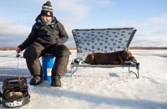 5 Tipps zum Eisfischen mit Ihrem Hund