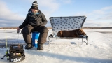 5 Tipps zum Eisfischen mit Ihrem Hund